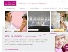 Tablet Screenshot of institutimagine.org